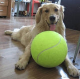 🎾 GIANT TENNIS BALL🎾